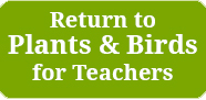 Return to Plants Are for the Birds! for Teachers