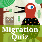 migration quiz