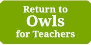 Return to Owls for Teachers