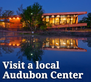 Visit a local Audubon Center
